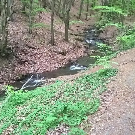 Lejlighed Panorama Haziko Nagymányok