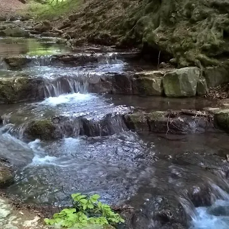 Panorama Haziko شقة