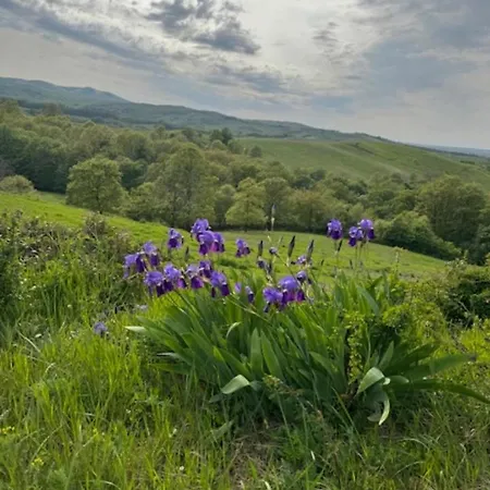 Panorama Haziko * Nagymányok